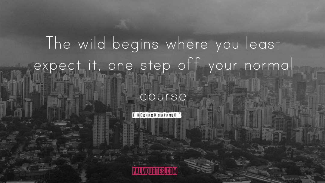 Bernard Malamud Quotes: The wild begins where you