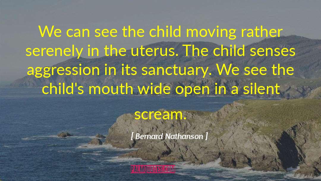 Bernard Nathanson Quotes: We can see the child