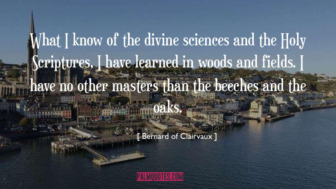 Bernard Of Clairvaux Quotes: What I know of the