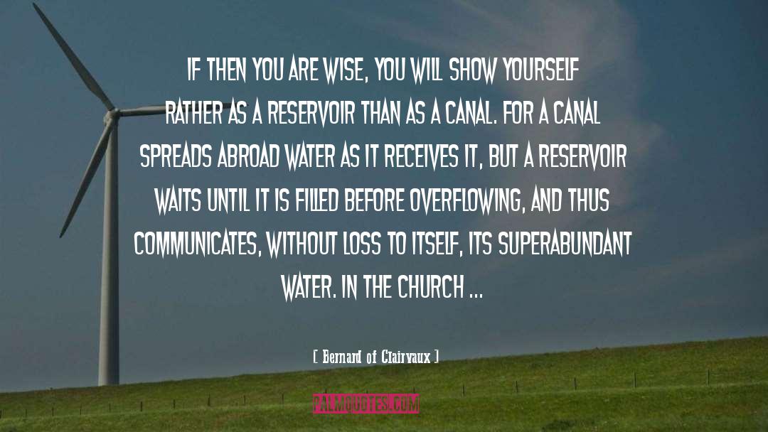 Bernard Of Clairvaux Quotes: If then you are wise,