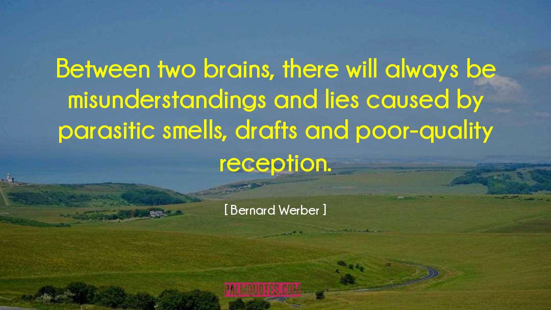 Bernard Werber Quotes: Between two brains, there will