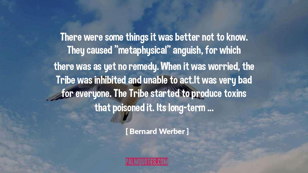 Bernard Werber Quotes: There were some things it