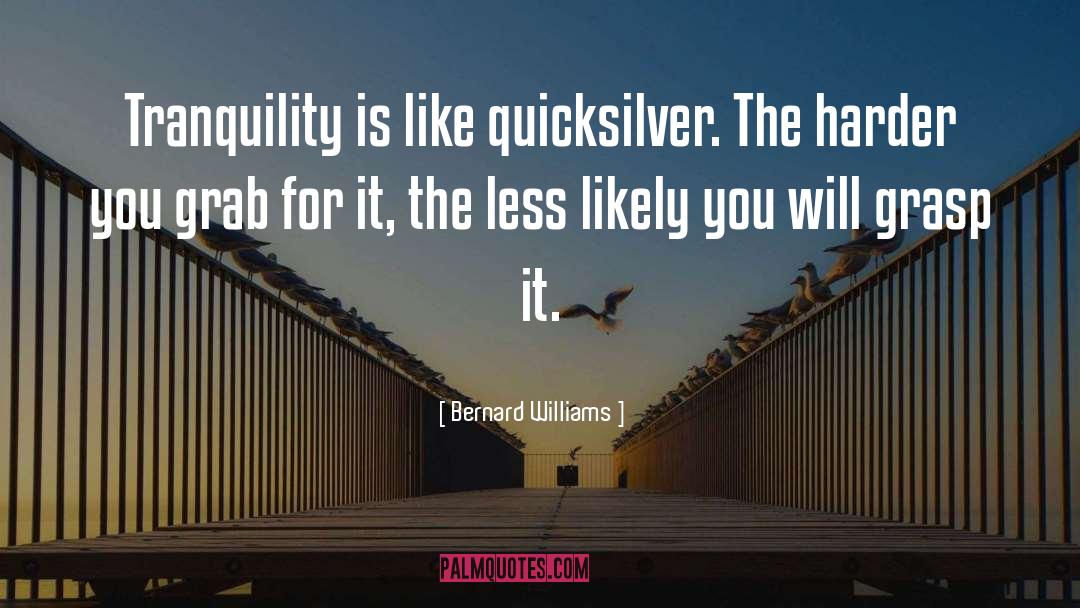 Bernard Williams Quotes: Tranquility is like quicksilver. The