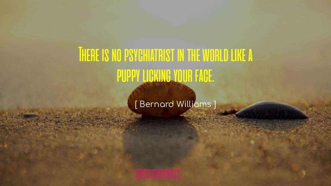Bernard Williams Quotes: There is no psychiatrist in