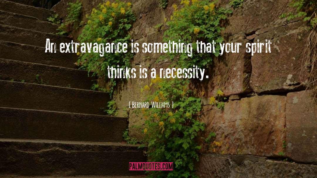 Bernard Williams Quotes: An extravagance is something that