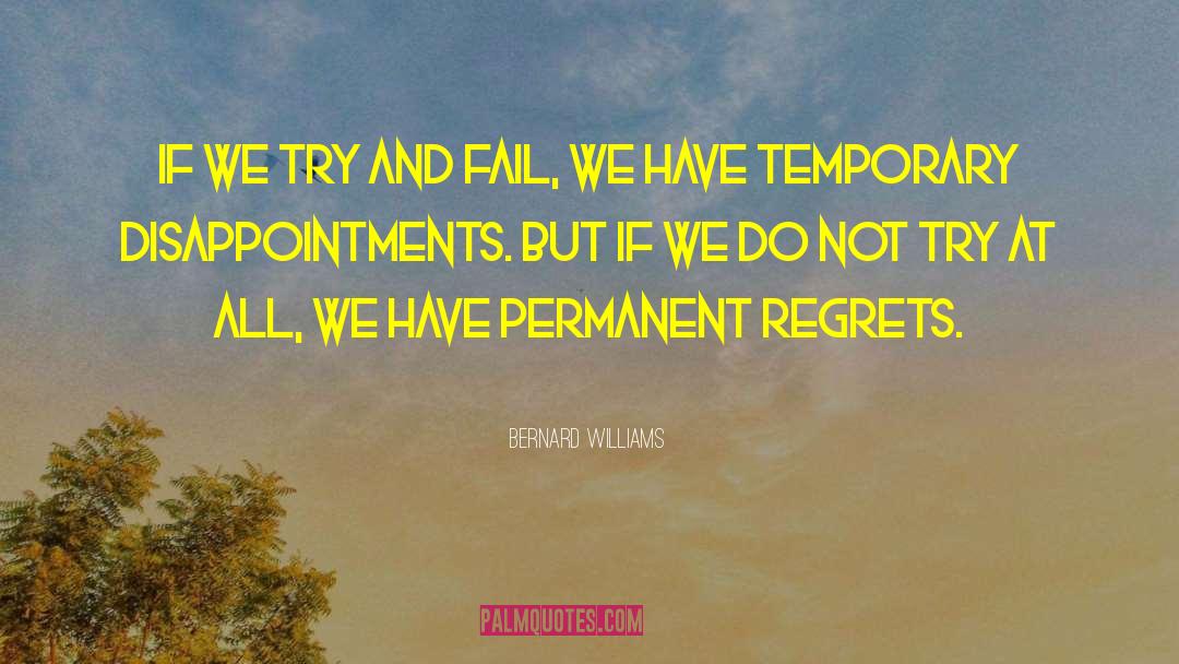 Bernard Williams Quotes: If we try and fail,