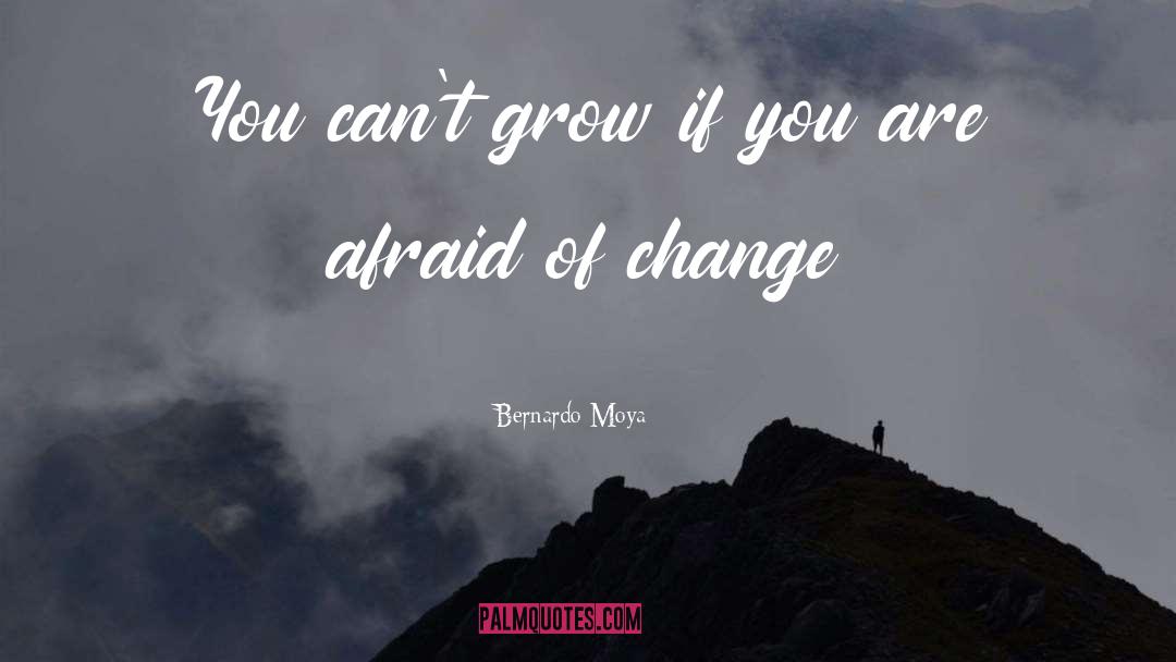 Bernardo Moya Quotes: You can't grow if you