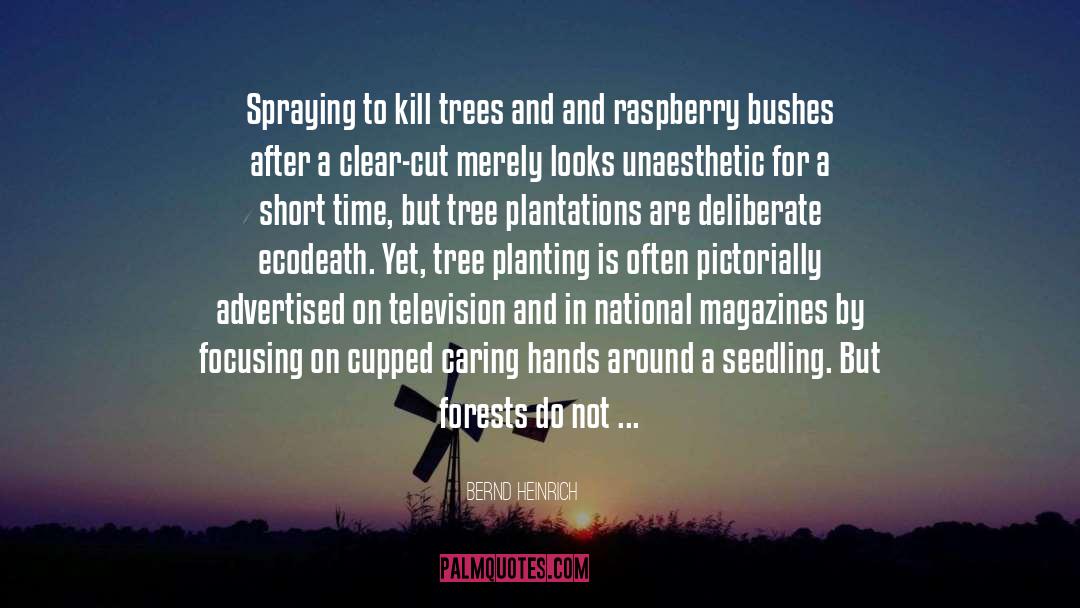 Bernd Heinrich Quotes: Spraying to kill trees and