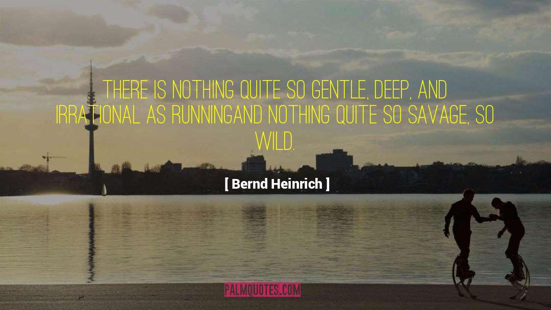 Bernd Heinrich Quotes: There is nothing quite so