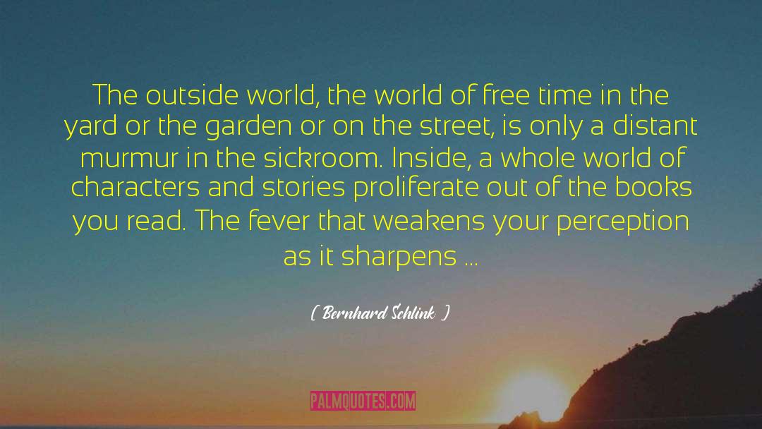 Bernhard Schlink Quotes: The outside world, the world