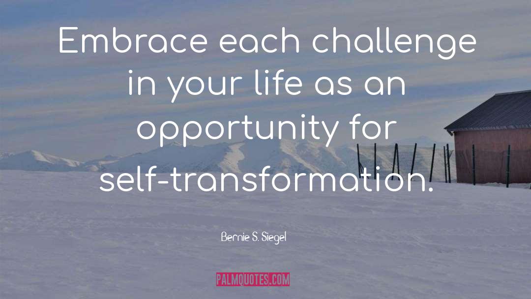 Bernie S. Siegel Quotes: Embrace each challenge in your