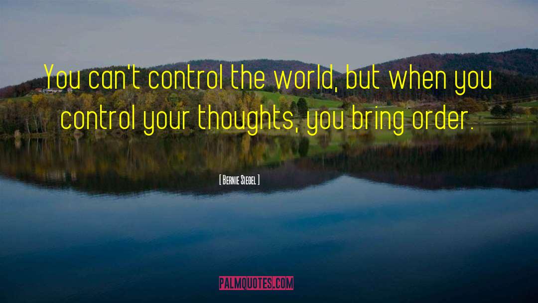 Bernie Siegel Quotes: You can't control the world,