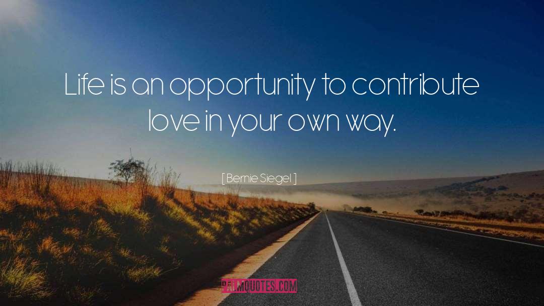 Bernie Siegel Quotes: Life is an opportunity to