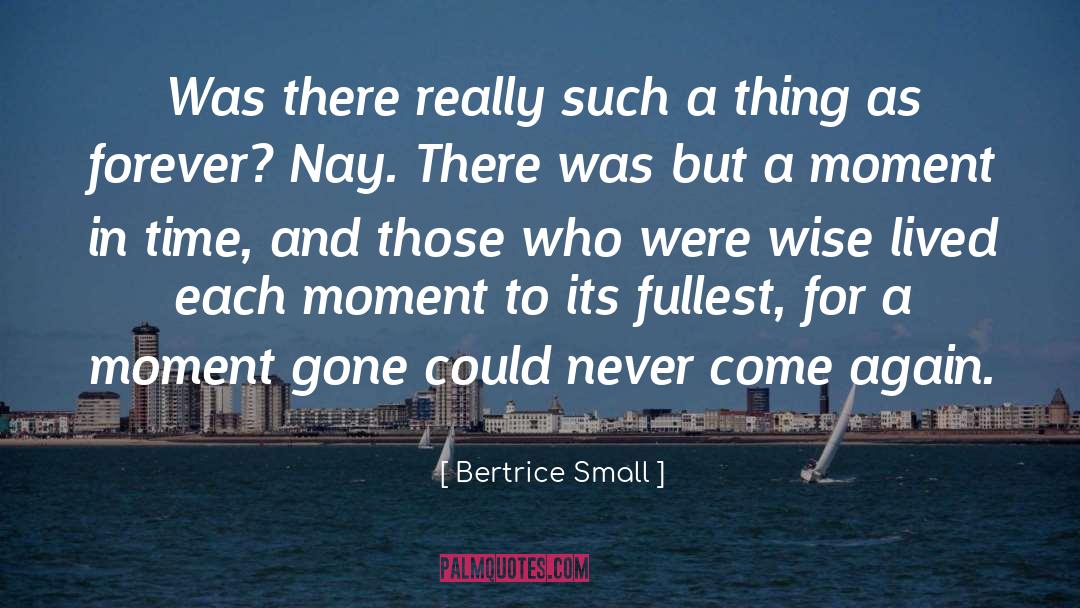 Bertrice Small Quotes: Was there really such a