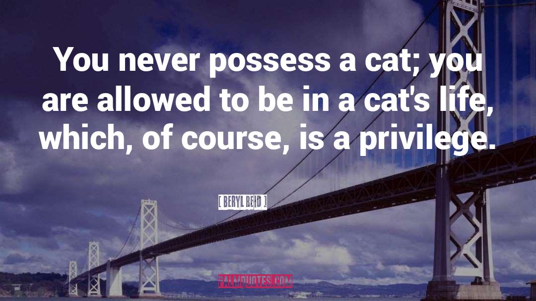 Beryl Reid Quotes: You never possess a cat;