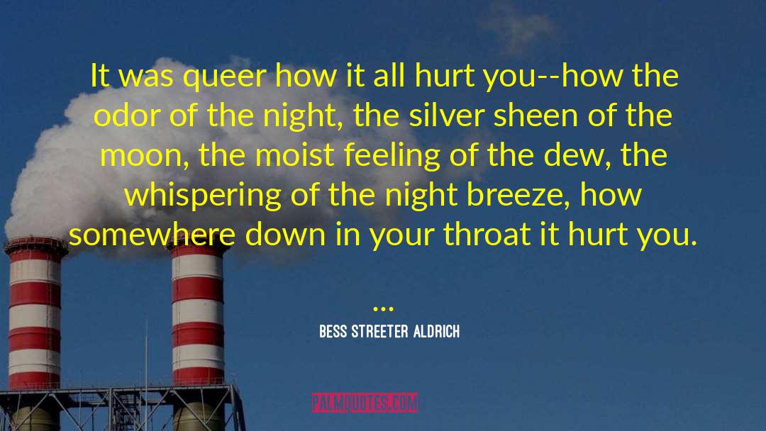 Bess Streeter Aldrich Quotes: It was queer how it