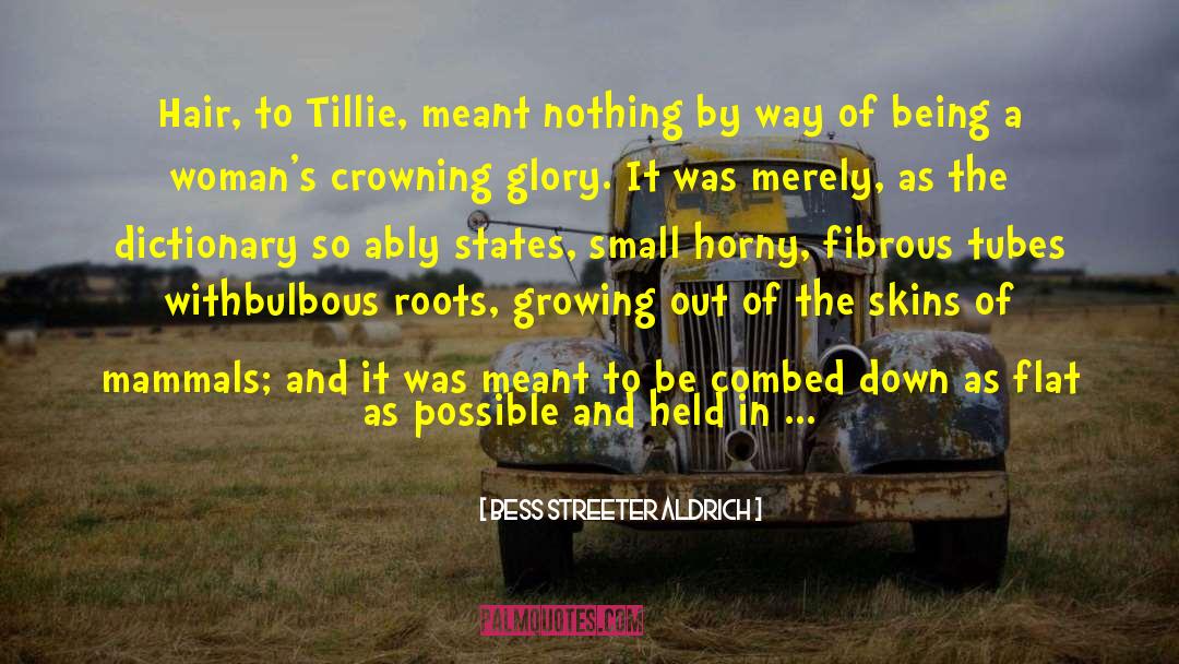 Bess Streeter Aldrich Quotes: Hair, to Tillie, meant nothing