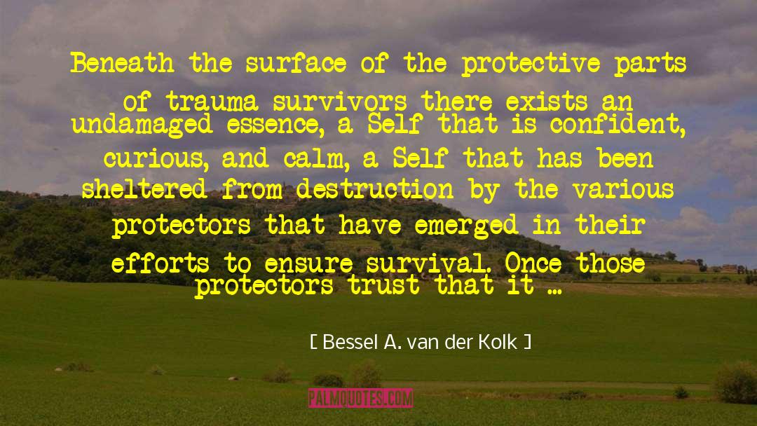 Bessel A. Van Der Kolk Quotes: Beneath the surface of the