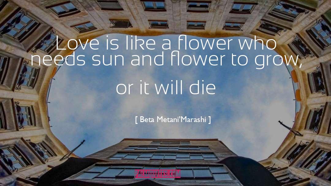Beta Metani'Marashi Quotes: Love is like a flower
