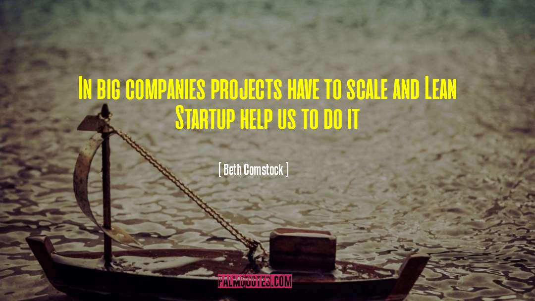 Beth Comstock Quotes: In big companies projects have