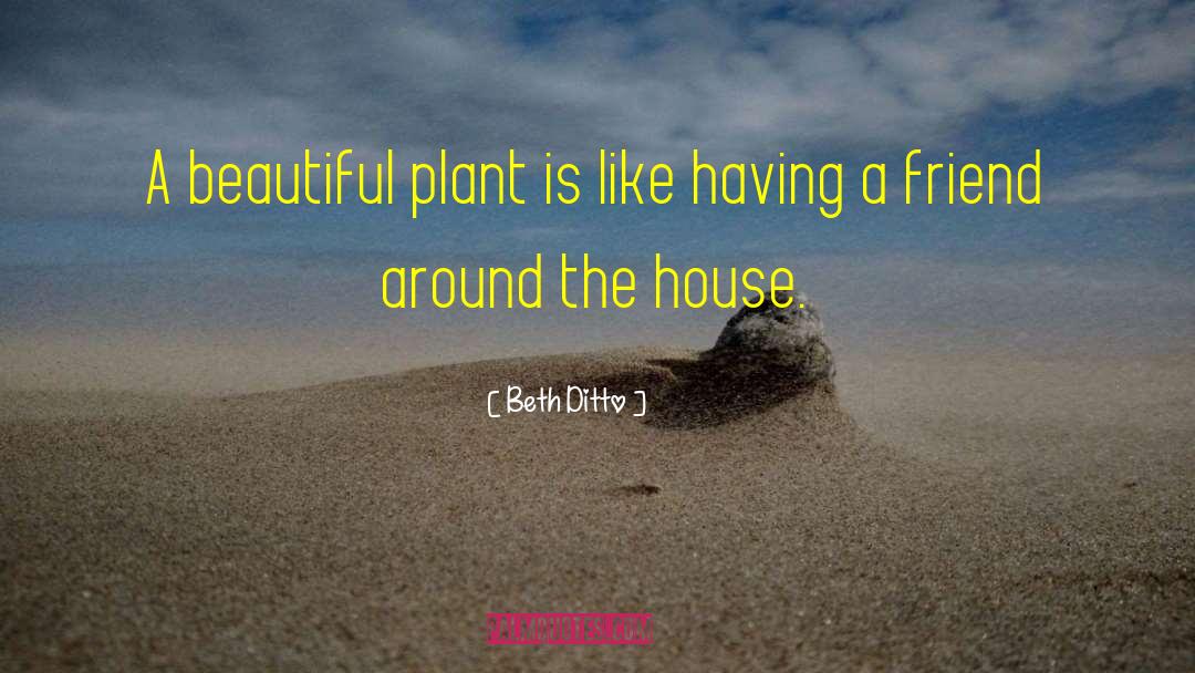 Beth Ditto Quotes: A beautiful plant is like
