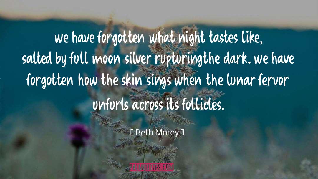 Beth Morey Quotes: we have forgotten what night