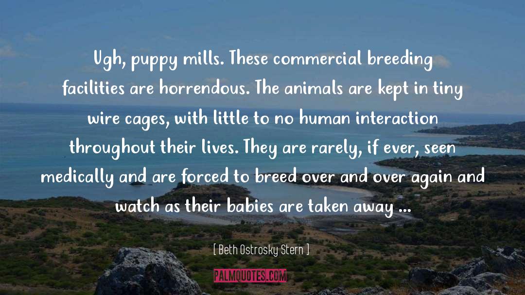 Beth Ostrosky Stern Quotes: Ugh, puppy mills. These commercial