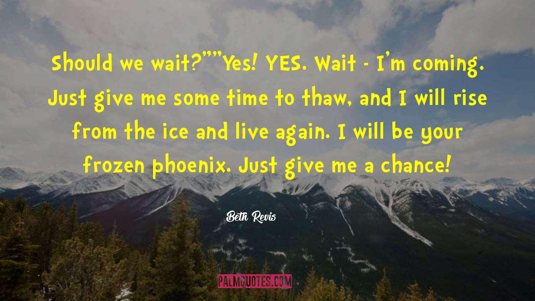Beth Revis Quotes: Should we wait?