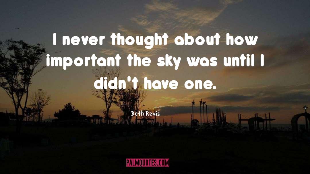 Beth Revis Quotes: I never thought about how