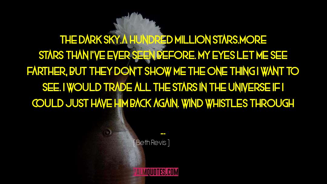 Beth Revis Quotes: The dark sky.<br />A hundred