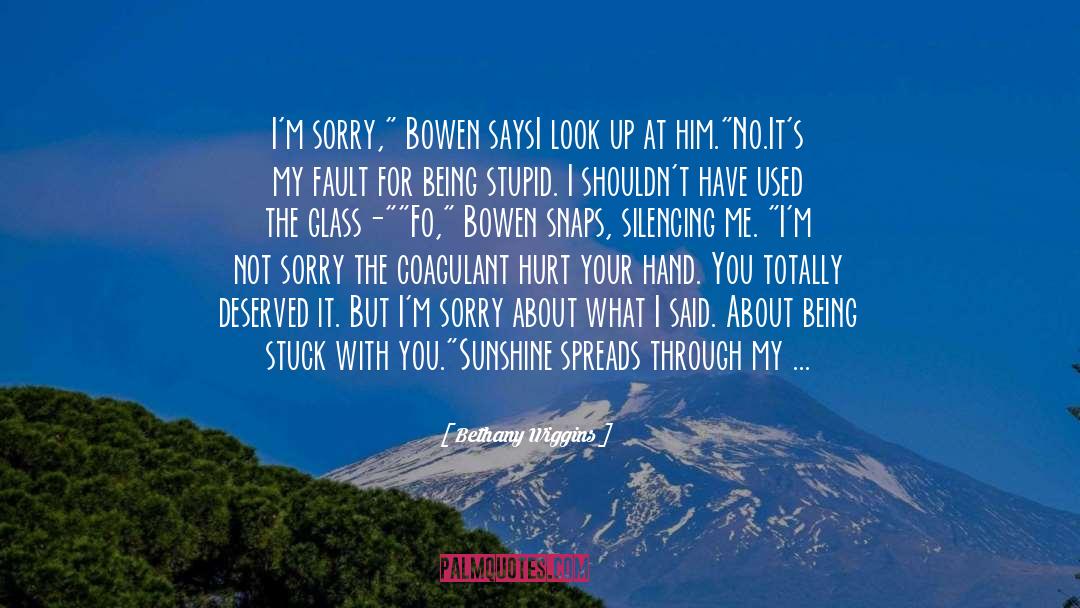 Bethany Wiggins Quotes: I'm sorry,