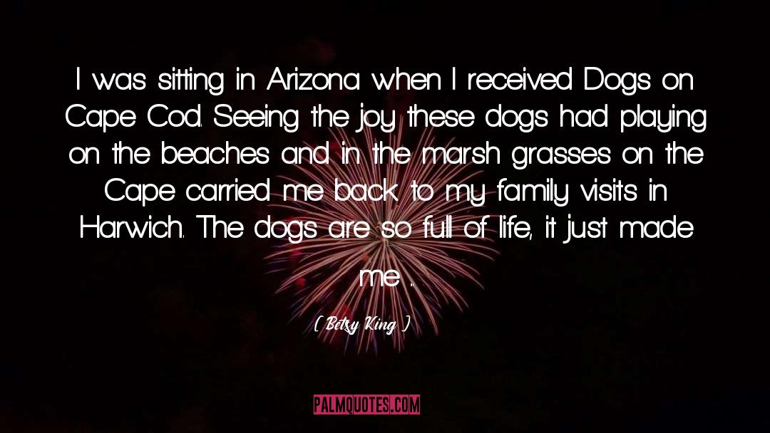 Betsy King Quotes: I was sitting in Arizona