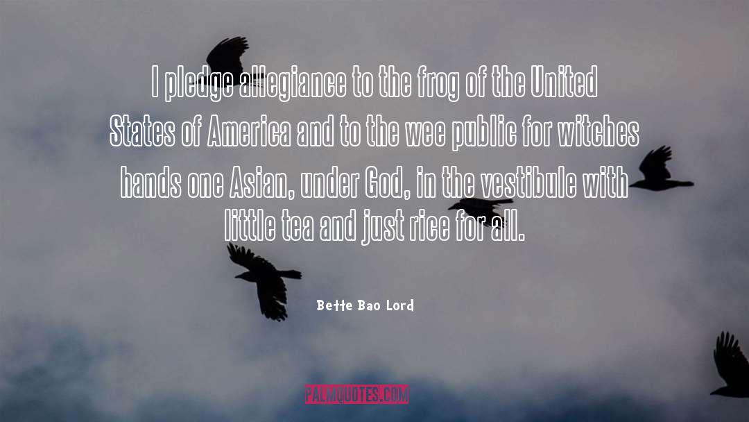 Bette Bao Lord Quotes: I pledge allegiance to the