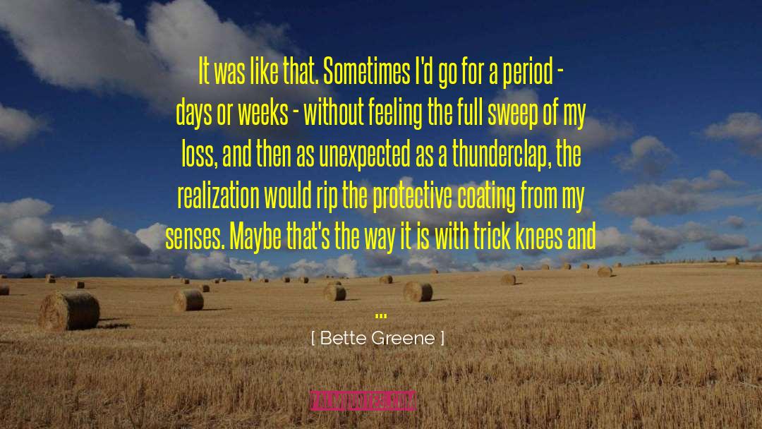 Bette Greene Quotes: It was like that. Sometimes