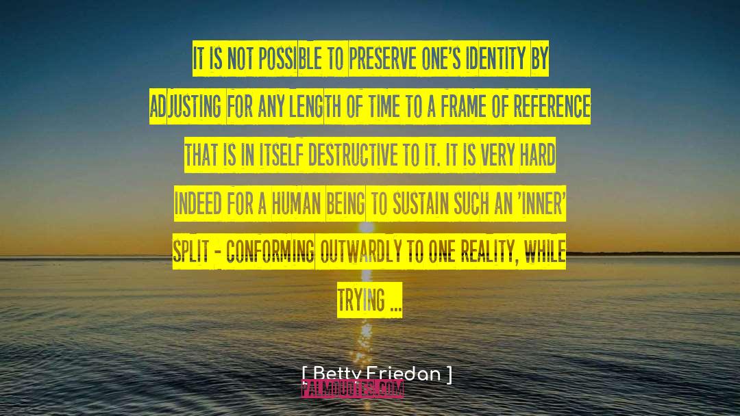 Betty Friedan Quotes: It is not possible to