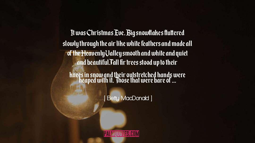 Betty MacDonald Quotes: It was Christmas Eve. Big