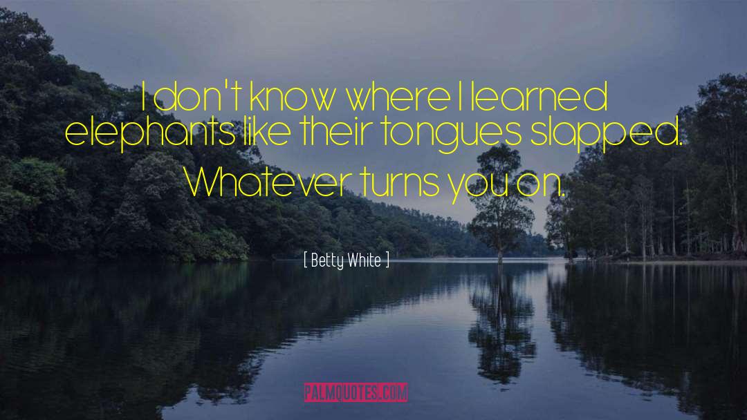Betty White Quotes: I don't know where I
