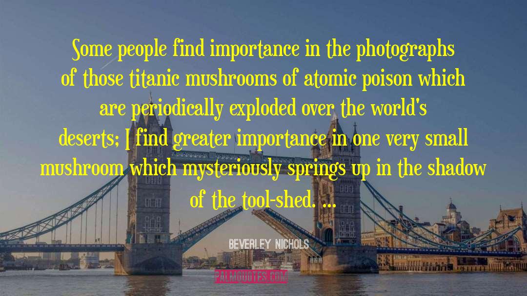 Beverley Nichols Quotes: Some people find importance in