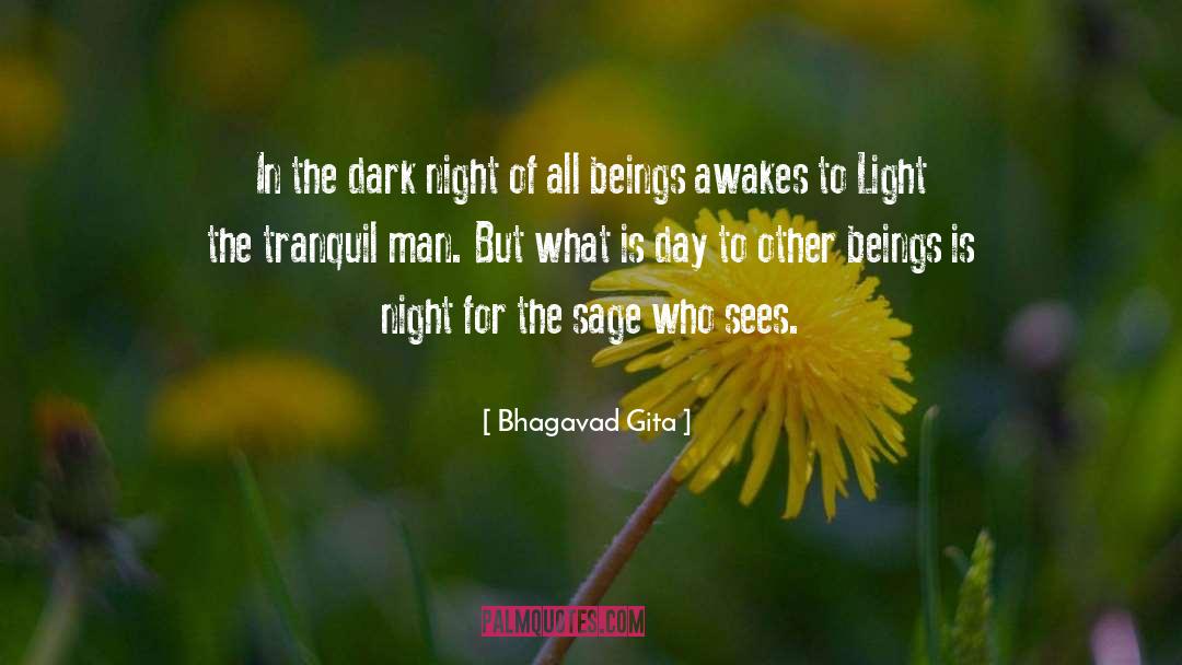 Bhagavad Gita Quotes: In the dark night of