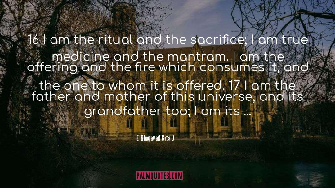 Bhagavad Gita Quotes: 16 I am the ritual