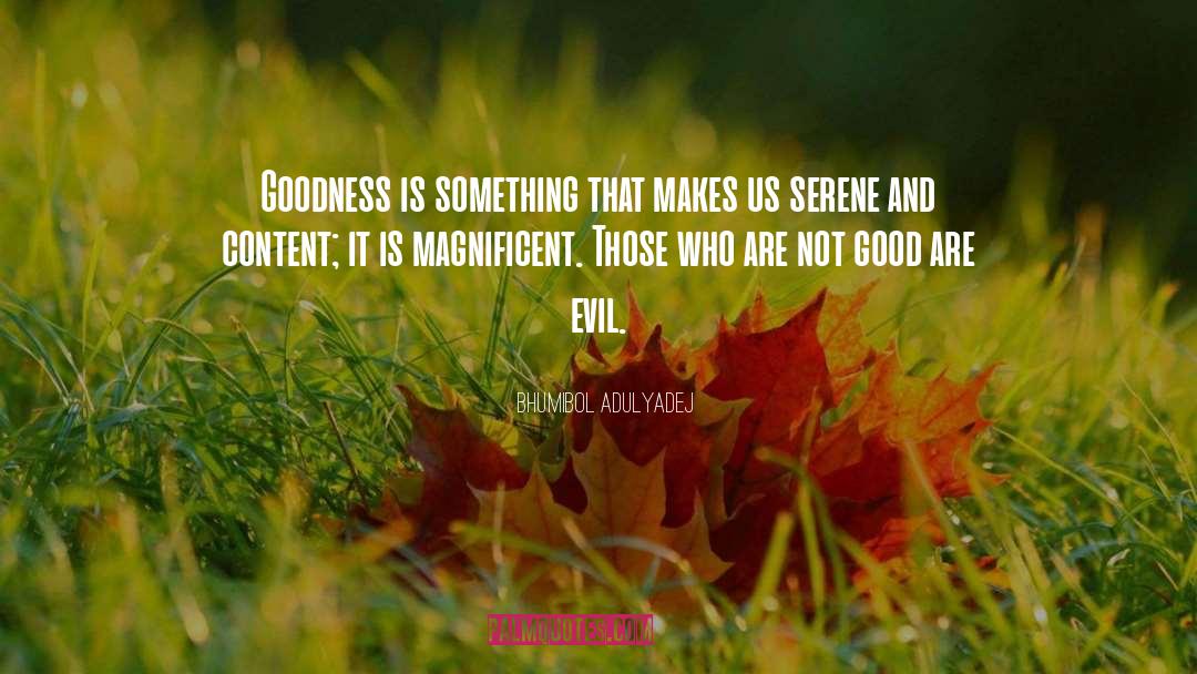 Bhumibol Adulyadej Quotes: Goodness is something that makes