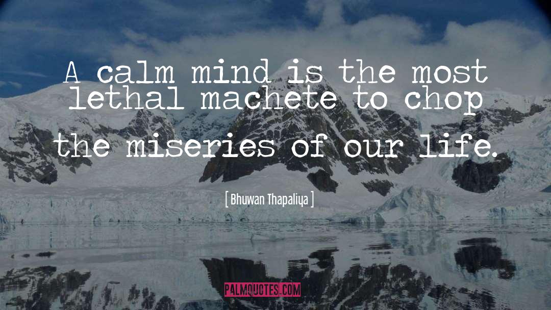 Bhuwan Thapaliya Quotes: A calm mind is the