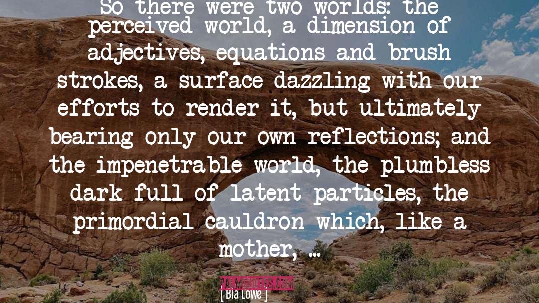 Bia Lowe Quotes: So there were two worlds: