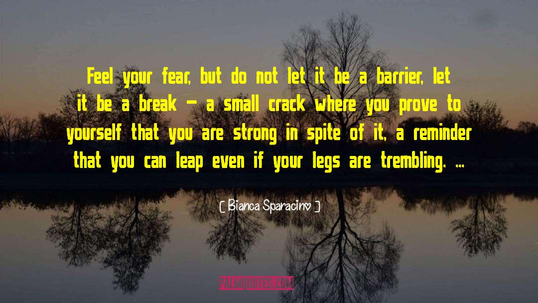 Bianca Sparacino Quotes: Feel your fear, but do