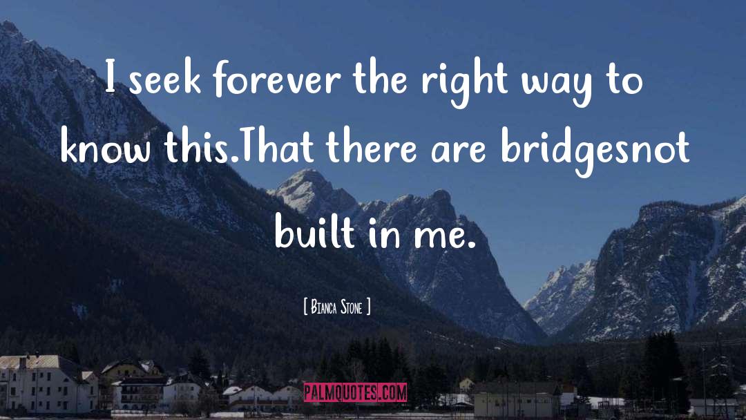 Bianca Stone Quotes: I seek forever the right
