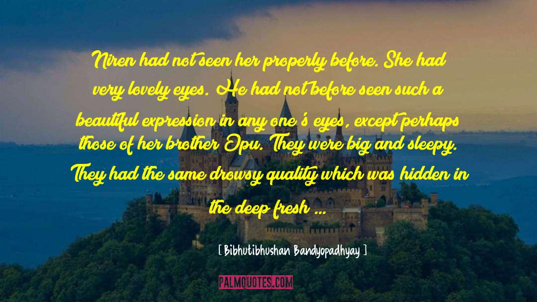 Bibhutibhushan Bandyopadhyay Quotes: Niren had not seen her