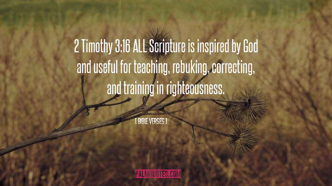 Bible Verses Quotes: 2 Timothy 3:16 ALL Scripture