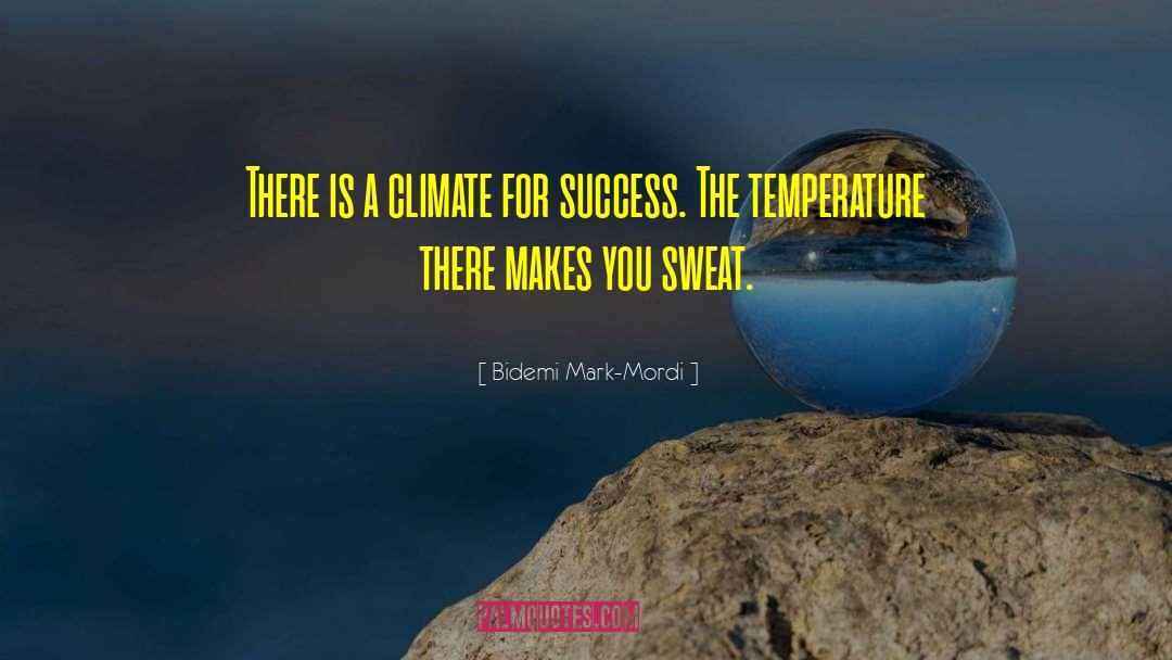 Bidemi Mark-Mordi Quotes: There is a climate for