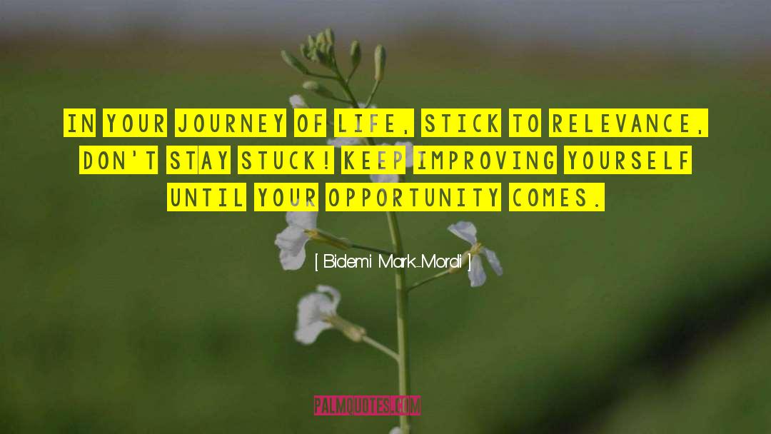Bidemi Mark-Mordi Quotes: In your journey of life,