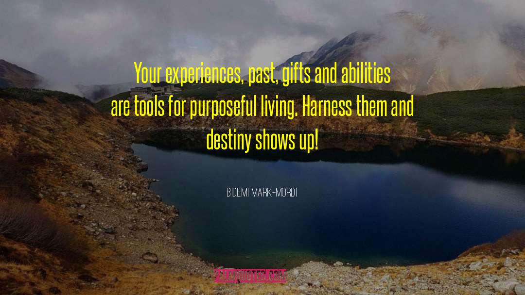 Bidemi Mark-Mordi Quotes: Your experiences, past, gifts and